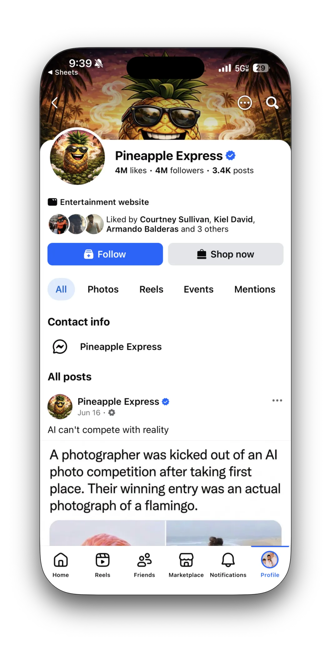 Pineapple Express profile