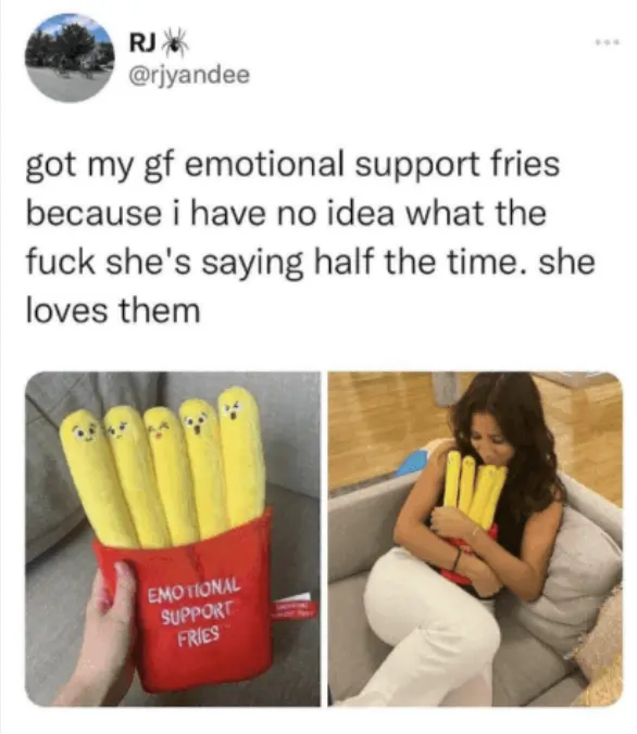 Meme ad for emotional support fries product