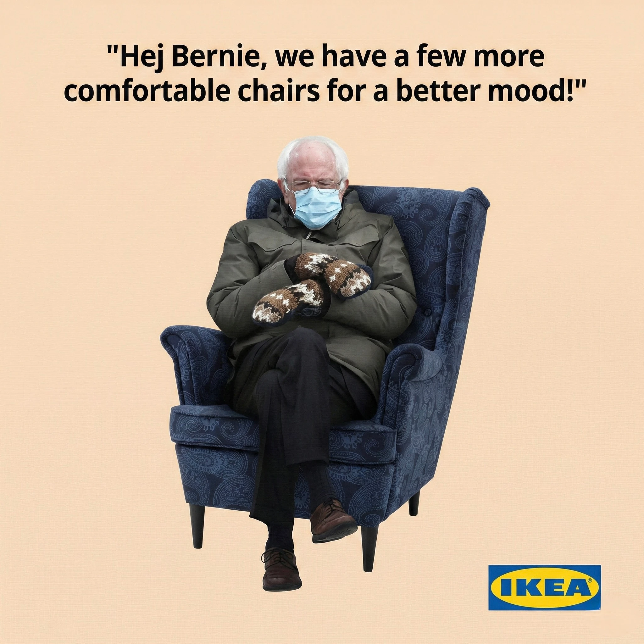 Bernie Sitting Product Swap